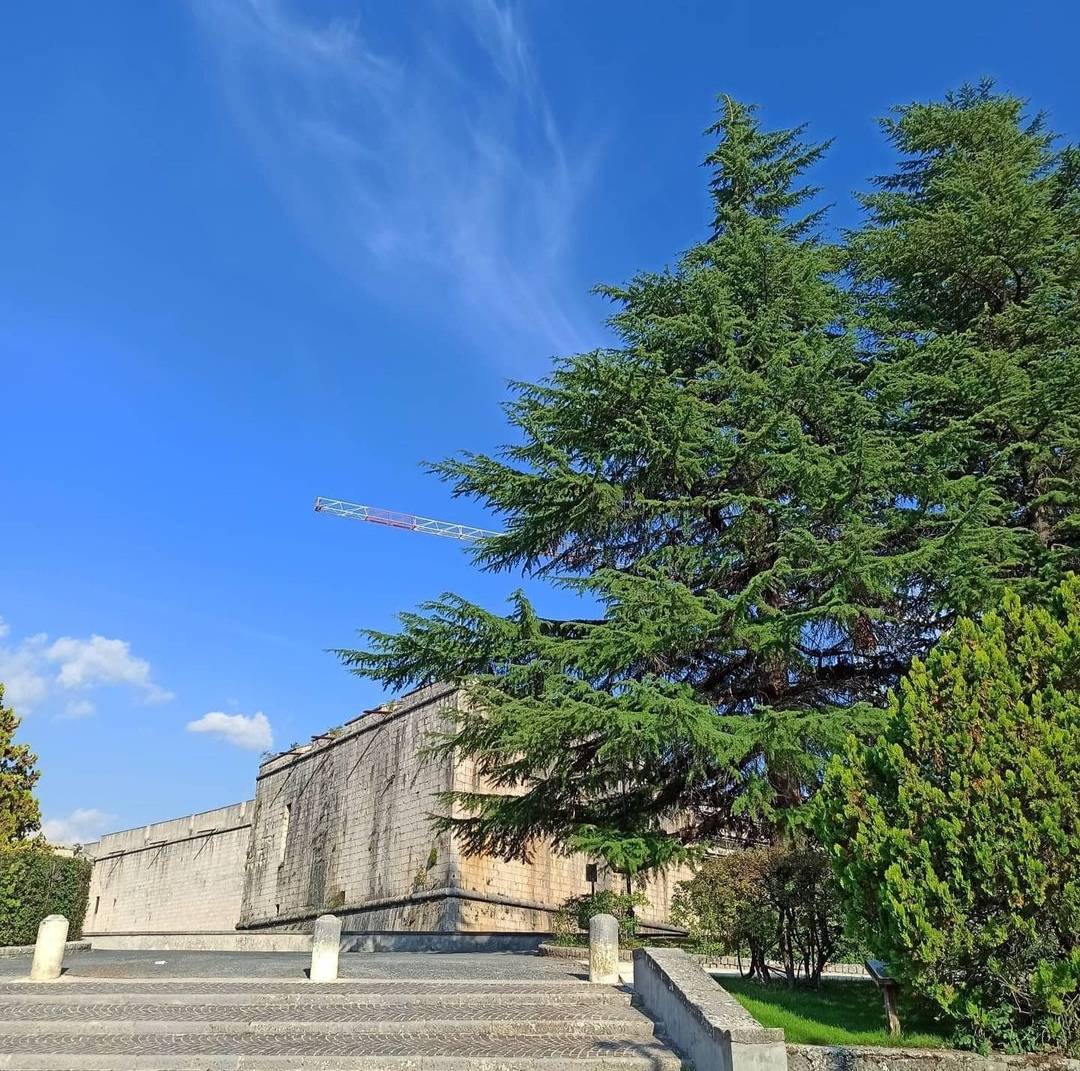 “VIOLENZA SESSUALE PARCO DEL CASTELLO”: INDAGA PROCURA L’AQUILA, SCATTA CODICE ROSSO
