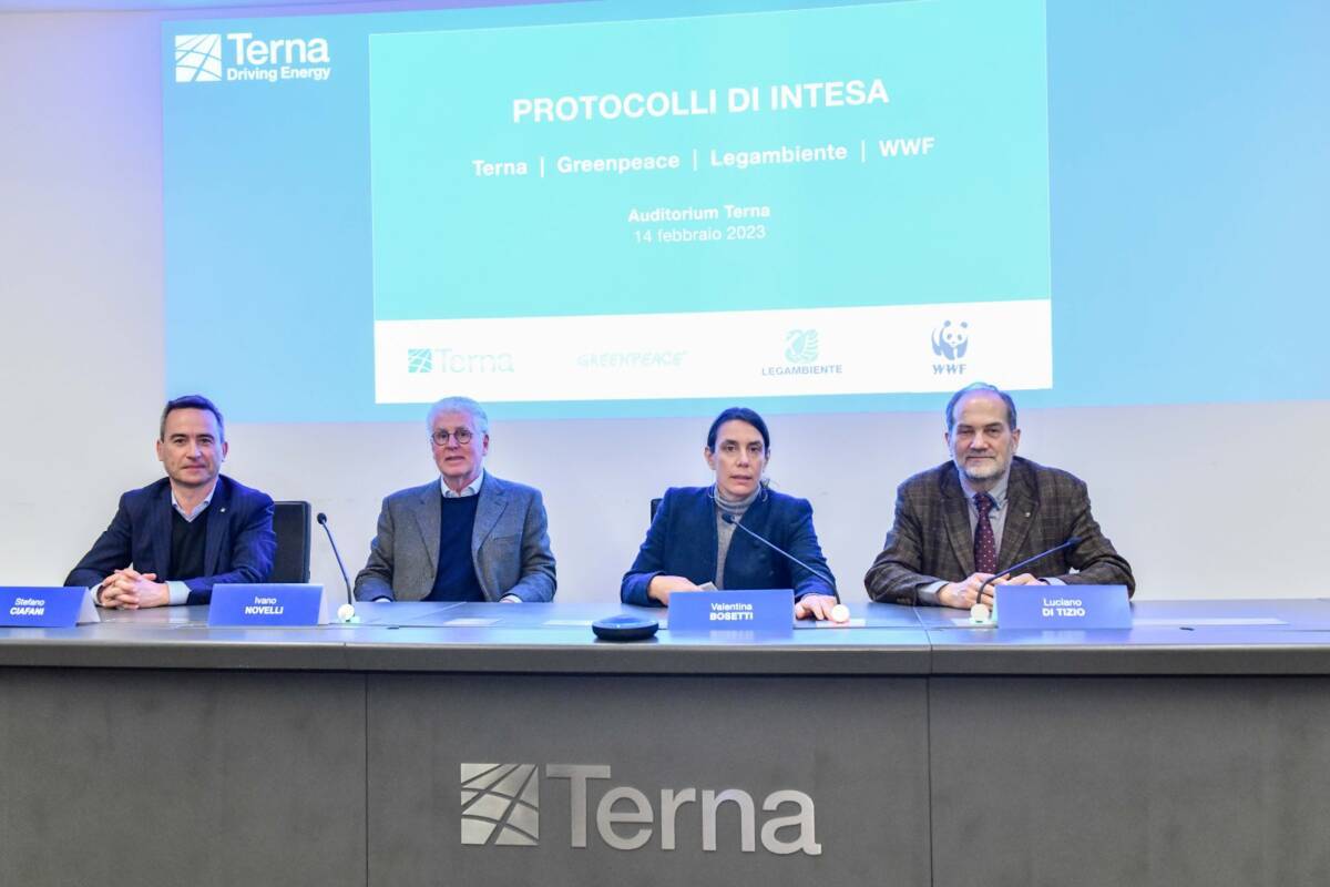 TERNA: INTESA CON GRENPEACE, WWF E LEGAMBIENTE PER INFRASTRUTTURE ELETTRICHE PIU’ SOSTENIBILI