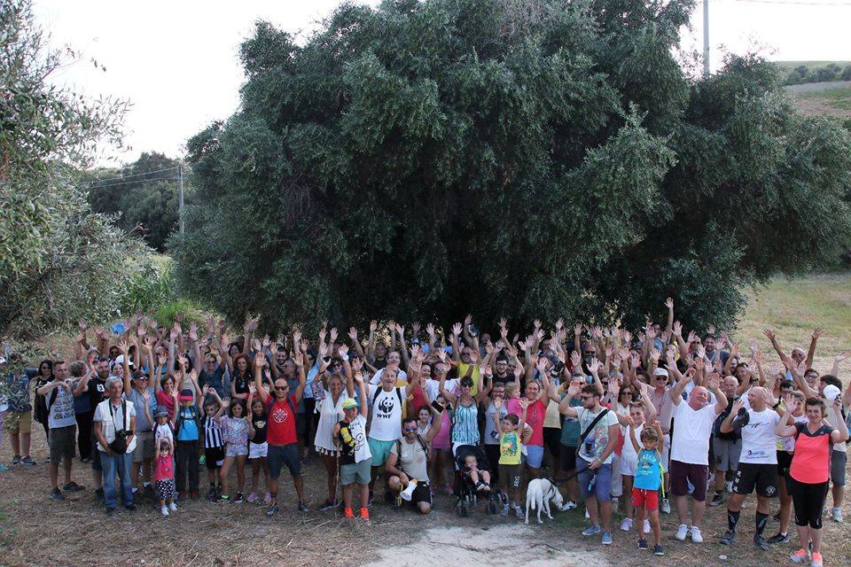 ROSETO: LA RISERVA DEL BORSACCHIO ORGANIZZA UN CORSO DI GUIDE PER DIFENDERE L’AREA PROTETTA