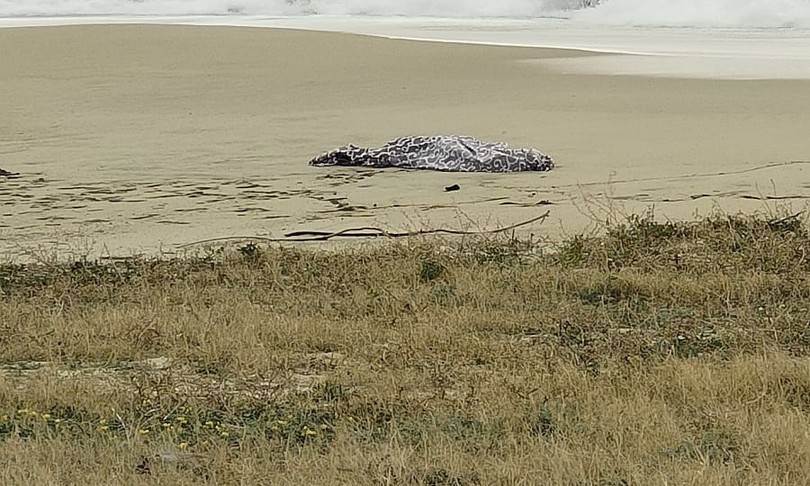 ECATOMBE NEL MARE DI CROTONE, AFFONDA BARCONE, 59 MIGRANTI MORTI, TRA LORO 12 BAMBINI