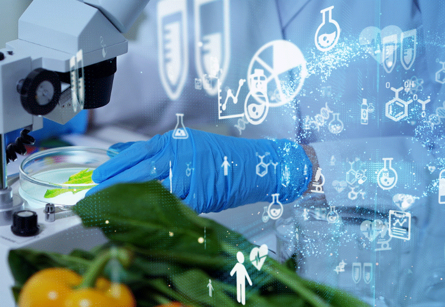 CNA L’AQUILA: SICUREZZA SUL LAVORO E IGIENE ALIMENTARE HACCP, PER AZIENDE CHECK-UP GRATUITO