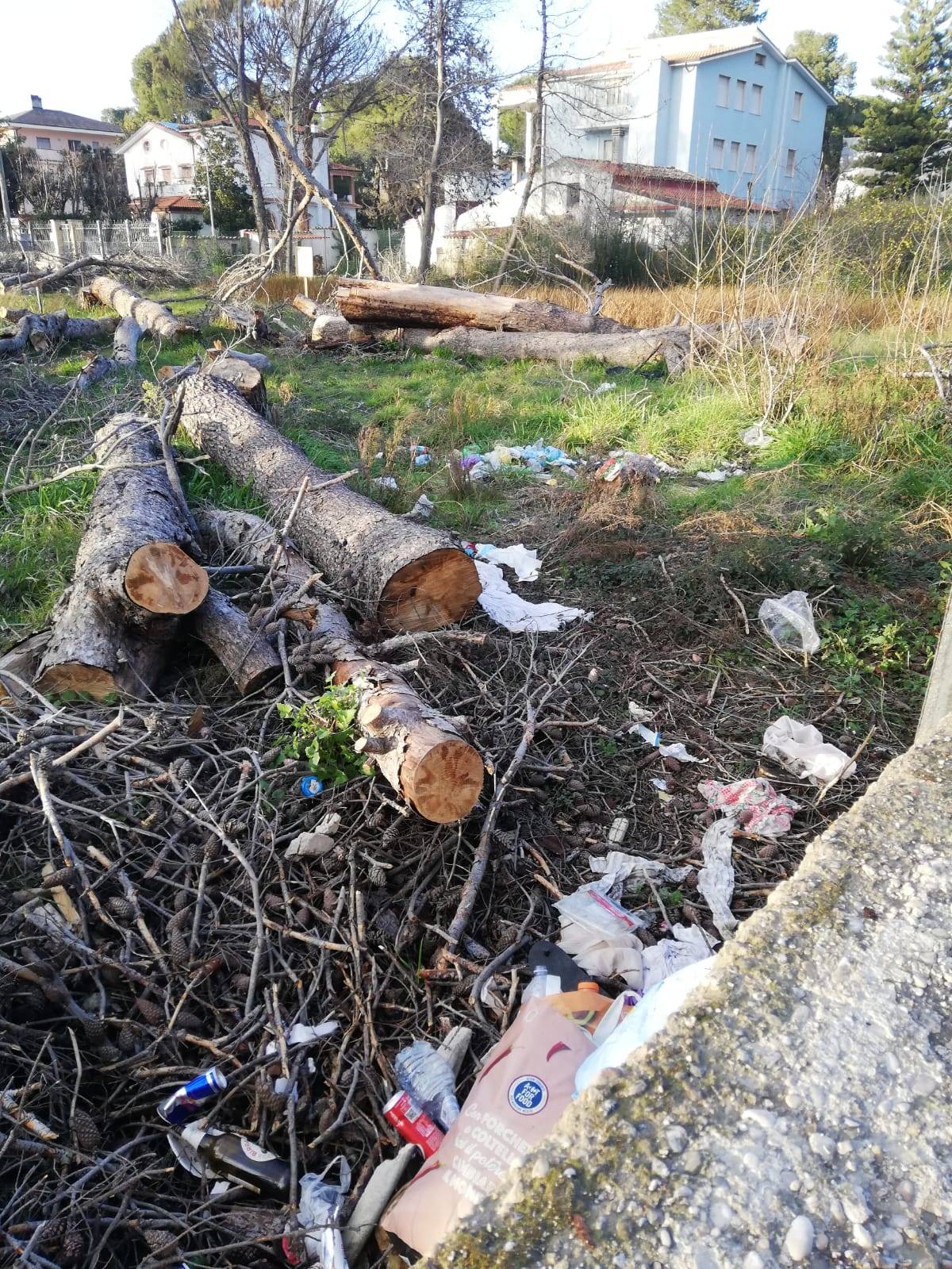 PINETA DANNUNZIANA PESCARA: LA DENUNCIA, “DEGRADO E RIFIUTI IN ATTESA DI BONIFICA INCENDIO”