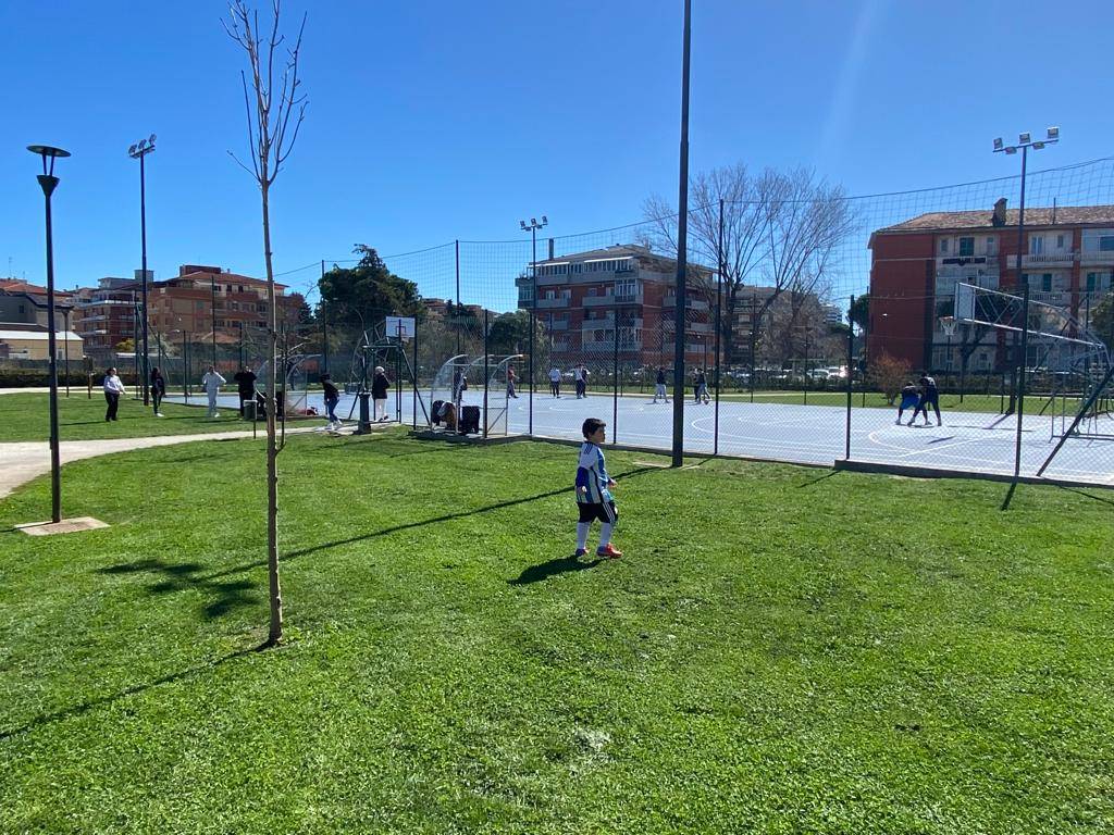 PESCARA: COMUNE VARA PIANO STRAORDINARIO PIANTUMAZIONE, 2.457 NUOVI ALBERI