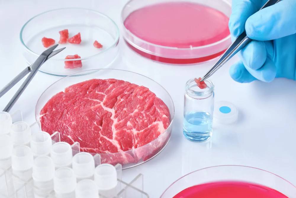 STOP AL CIBO SINTETICO: IN BOZZA DDL MULTE FINO A 60MILA EURO