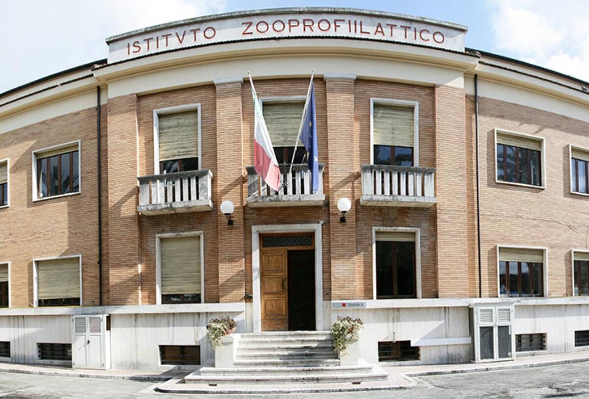IZS, SCONTRO MARSILIO-D’ALFONSO: DA “MILLANTATORE” A “INCONCLUDENTE DI PROFESSIONE”