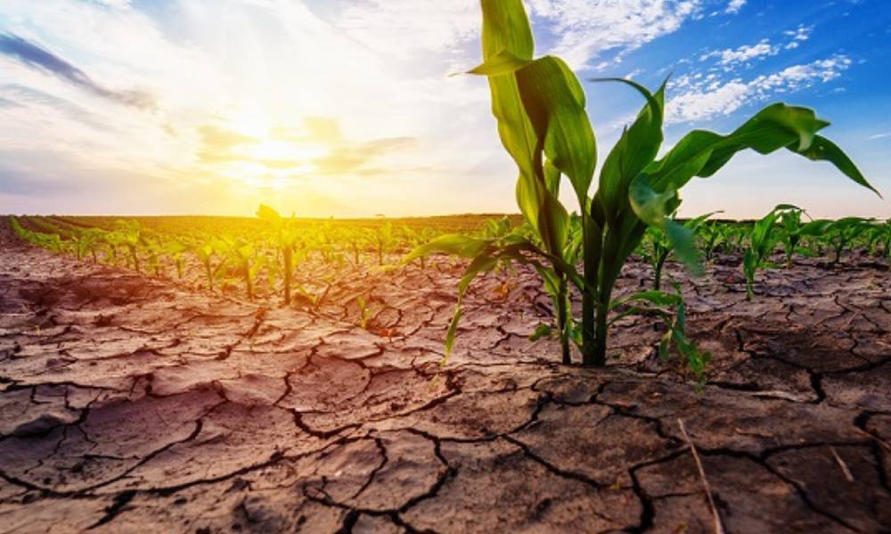 EMERGENZA IDRICA ATTANAGLIA L’ABRUZZO E L’ITALIA: NEL 2022 DANNI DA 6 MILIARDI AD AGRICOLTURA