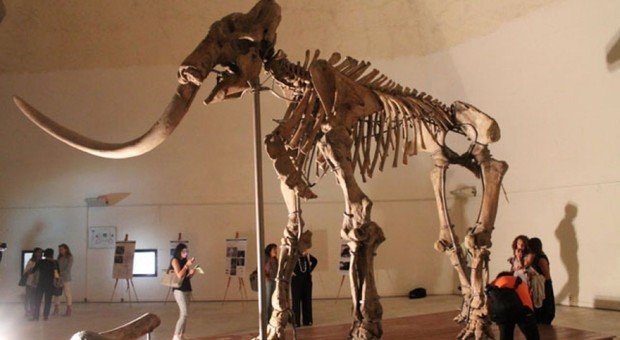 L’AQUILA, MAMMUT: NUMERI DA RECORD E APERTURE ESTIVE STRAORDINARIE