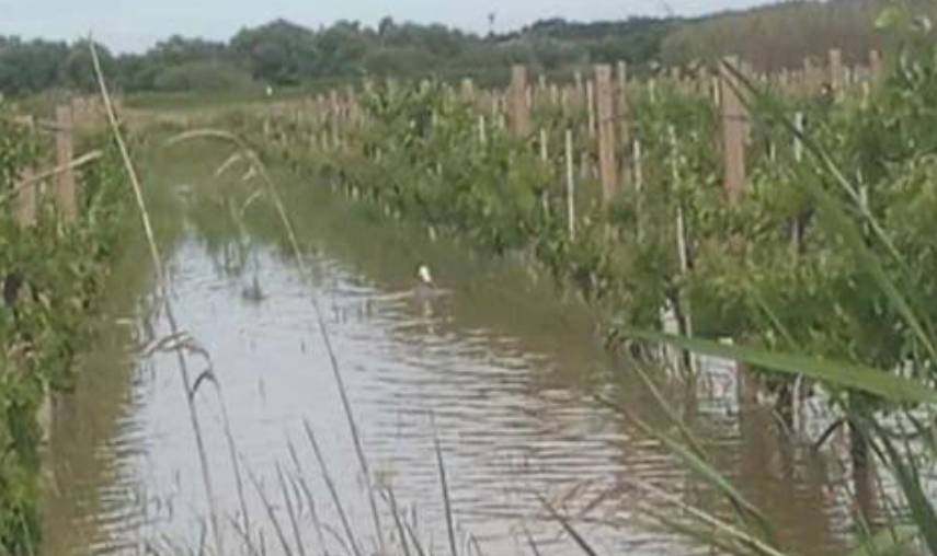 MALTEMPO: 73 TRA BOMBE D’ACQUA E TEMPESTE DI VENTO IN ITALIA IN DUE GIORNI, ALLARME COLDIRETTI