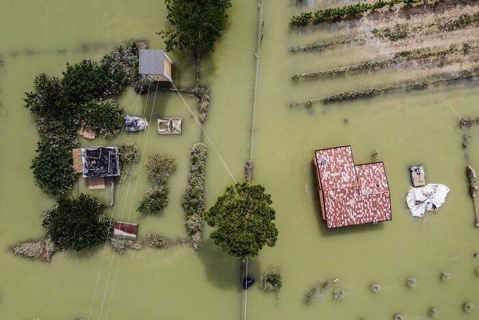 ALLUVIONE EMILIA ROMAGNA, COLDIRETTI: IN ALLEVAMENTI 250MILA ANIMALI DA SALVARE