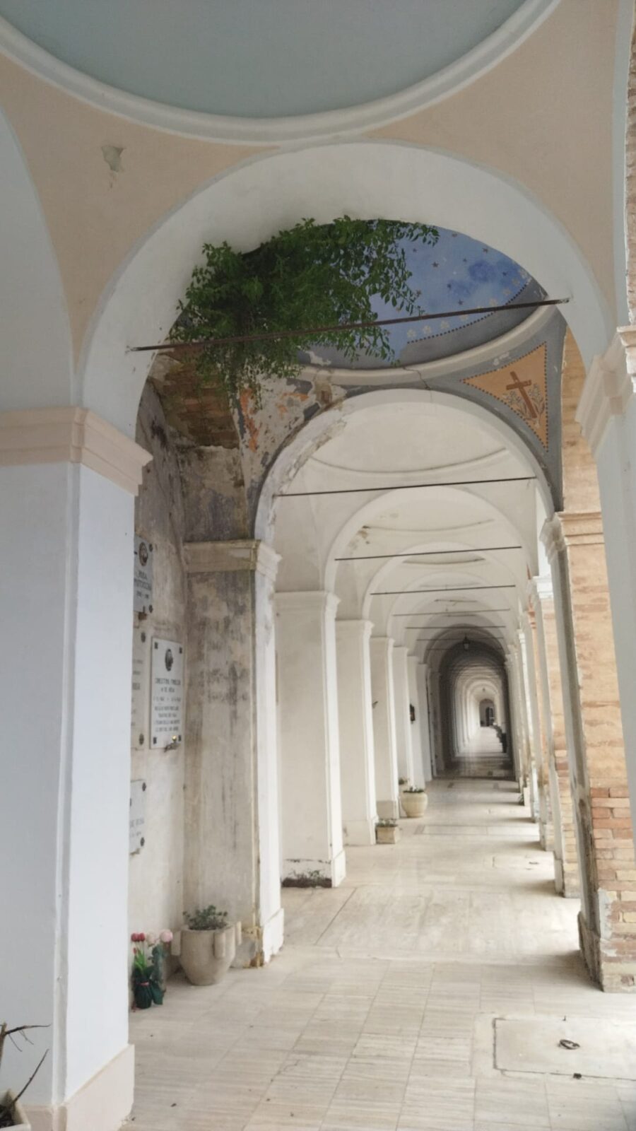ATRI: TROVATI RESTI UMANI NEL CASSONETTO DEL CIMITERO, “INTOLLERABILE INCURIA”