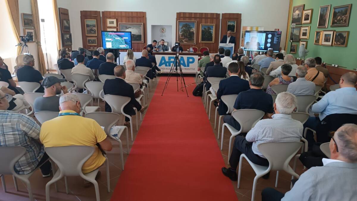 ENERGIA: UNA HYDROGEN VALLEY NELL’AREA DISMESSA DELL’EX COTIR A VASTO