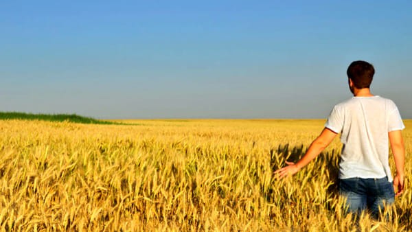AGRICOLTURA: “FONDI SOLO A 30 AZIENDE”, COLDIRETTI, “PENALIZZATI GIOVANI ABRUZZESI, TAGLIATI 5 MLN”