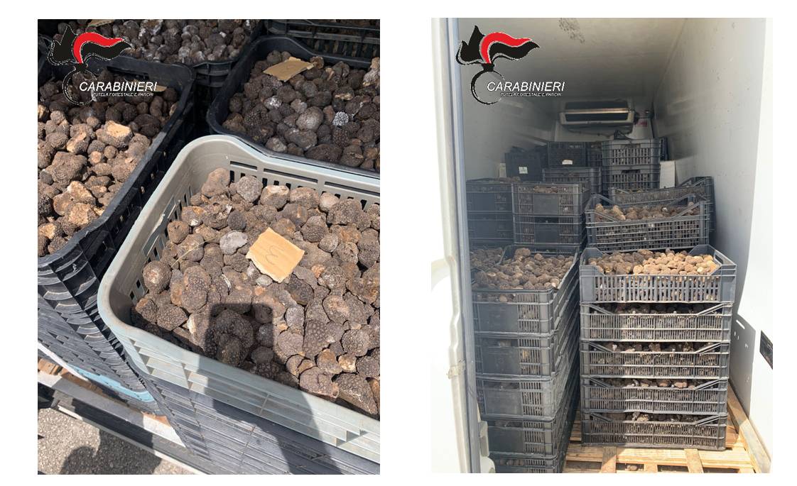 AVEZZANO: MAXI SEQUESTRO DI 22 QUINTALI DI TARTUFI TRASPORTATI SENZA TRACCIABILITA’