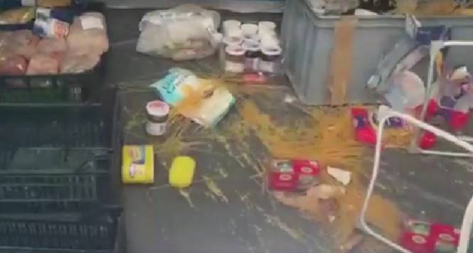 INCURSIONE ORSO IN CAMPO SCOUT A LECCE NEI MARSI: ATTRATTO DAL CIBO NELLE TENDE