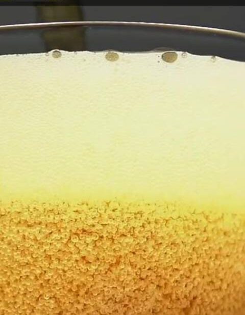 FERMENTI D’ABRUZZO: TORNA A PESCARA IL FESTIVAL DEDICATO AL LUPPOLO E ALLE BIRRE ARTIGIANALI