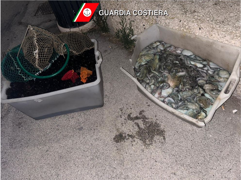 ORTONA: IL FERMO PESCA RISVEGLIA GLI ABUSIVI, SEQUESTRATI 2MILA RICCI E 100 KG DI POLPI