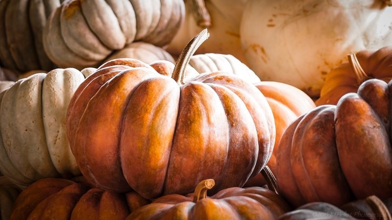 L’AQUILA: IL 9 E 10 SETTEMBRE TORNA LA STORICA FESTA DELLA ZUCCA DI VILLA SANT’ANGELO