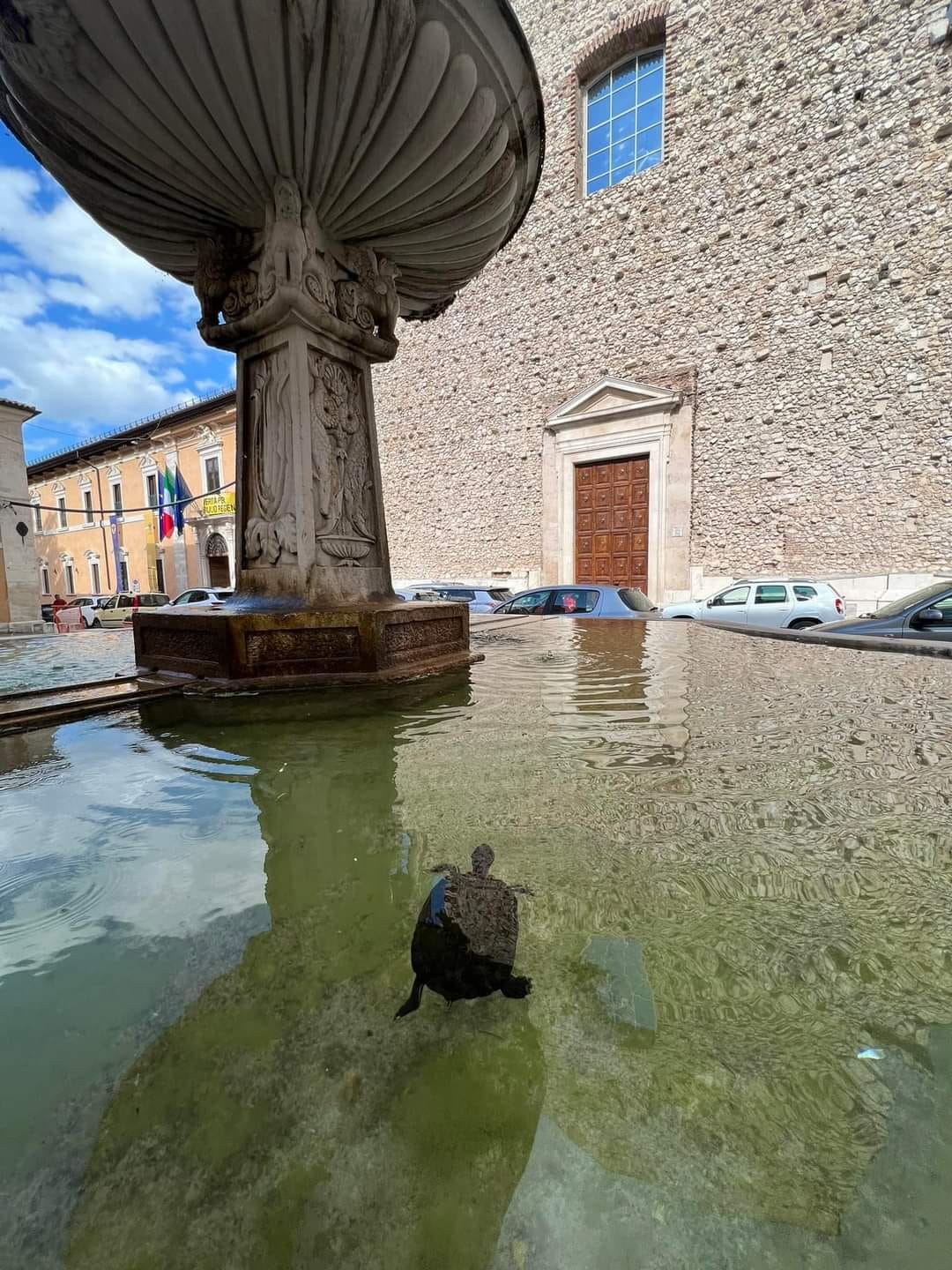 L’AQUILA: TARTARUGHE NELLA FONTANA DI PIAZZA SANTA MARGHERITA