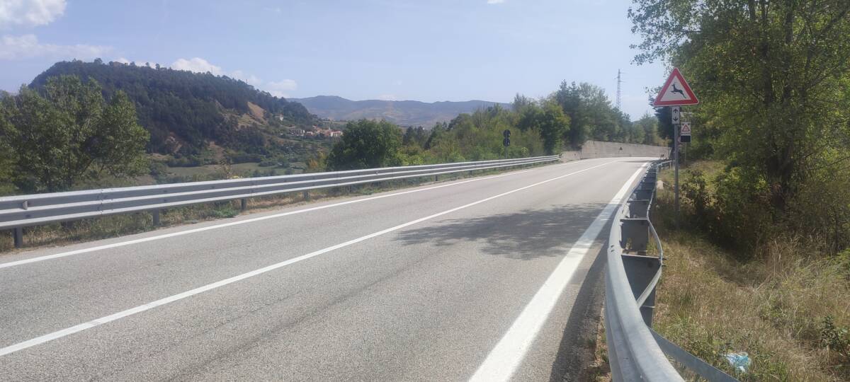 ORSO, DE SANCTIS: ”ANCORA ZERO ECODOTTI E RIMEDI SULLA STATALE DOVE E’ STATO INVESTITO CARRITO”