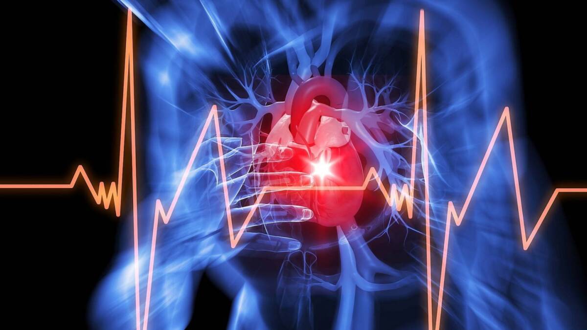 MORTI IMPROVVISE TRA GIOVANI: TAVOLO A PESCARA, “INDAGARE CAUSE SENZA ESCLUDERE NULLA”