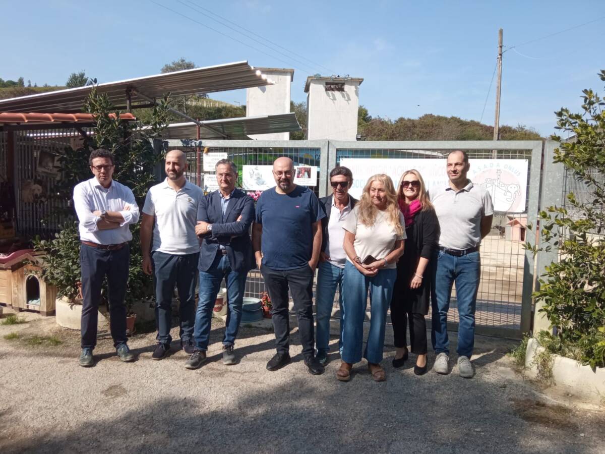 CHIETI: ULTIMATI LAVORI IMPIANTO ELETTRICO AL CANILE, “PRESTO RIQUALIFICAZIONE BOX”