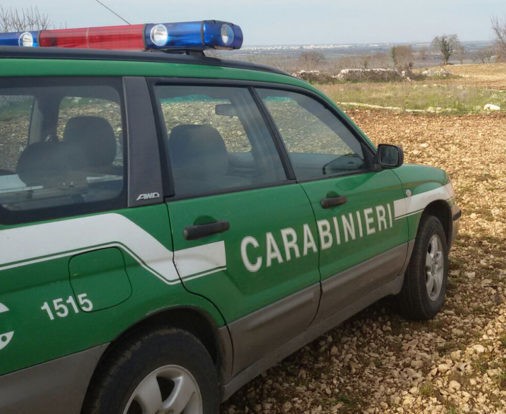 L’AQUILA: “AZIENDA ZOOTECNICA LAGER”, ANIMALISTI, “PECORE MORTE MANGIATE DA CANI SCHELETRICI”
