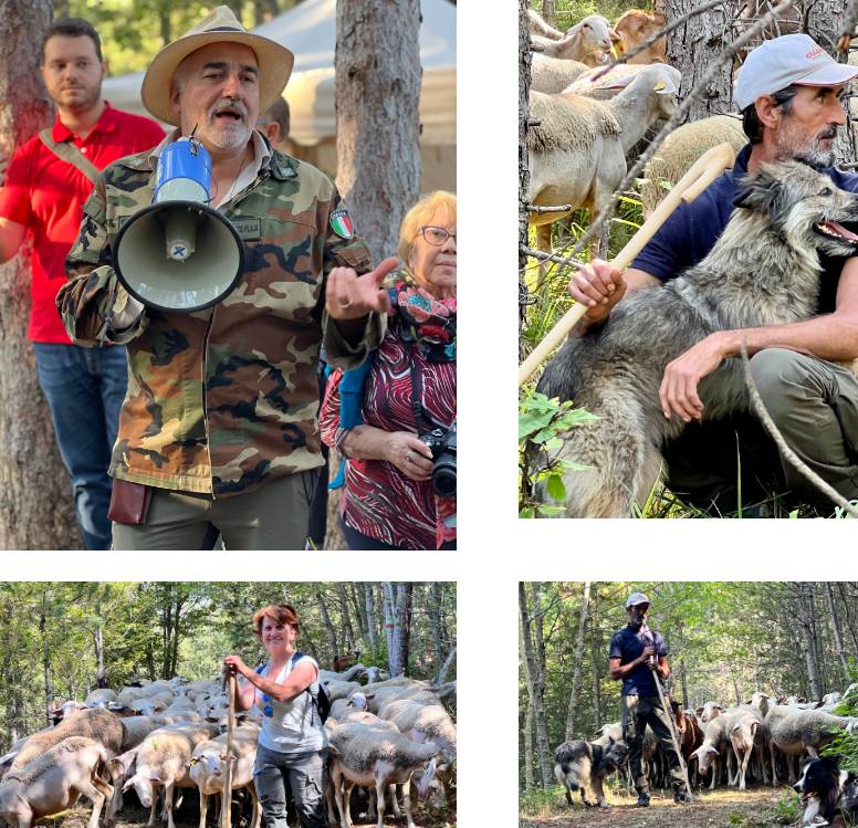 “LA PASCOLATA, PECORE, PASTORI & DINTORNI”: ACCORDO DEL “MONTE PLAJA” PER VALORIZZARE ARROSTICINO