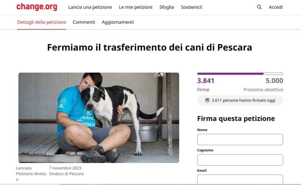 “STOP AL TRASFERIMENTO DEI CANI DAL CANILE DI PESCARA”: AL VIA RACCOLTA FIRME