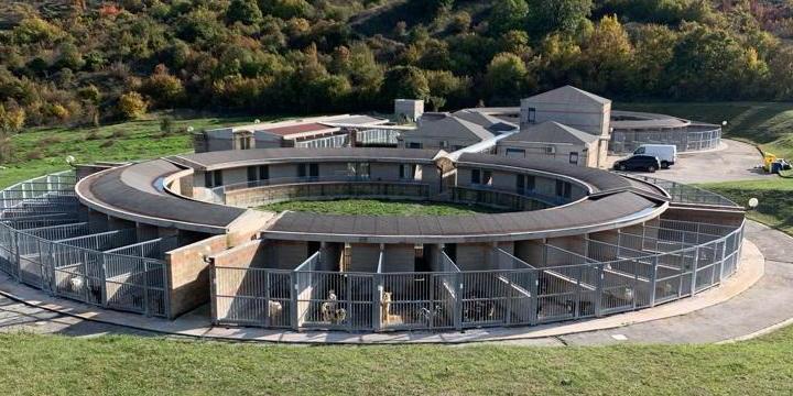 TRASFERIMENTO CANILE SANITARIO DA MARSICA A L’AQUILA: BERARDINETTI, “GOFFE SCUSE DI VERRECCHIA”