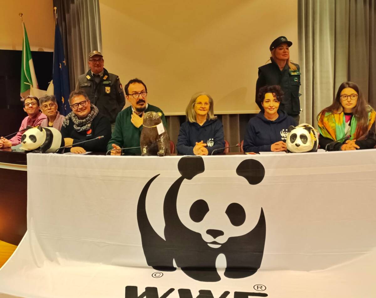 BILANCIO 2023 DEL WW ABRUZZO: “UN ANNO SEGNATO DALLA PERDITA DI 2 ORSI E CONSUMO DI SUOLO”