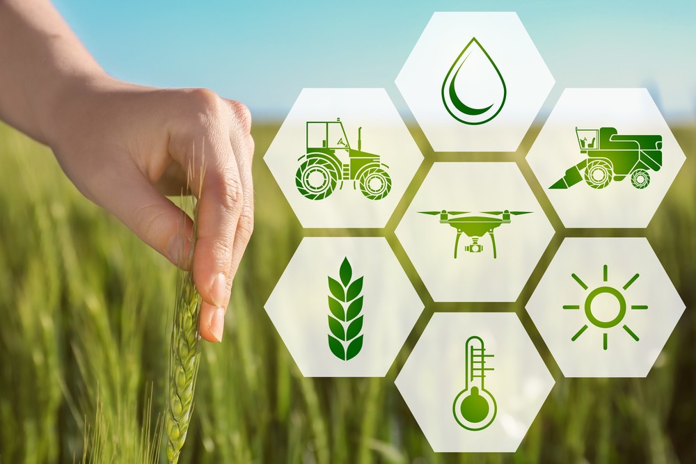 AGRICOLTURA: CAMPAGNA PAGAMENTI PAC 2025, PER L’ABRUZZO 18,8 MILIONI