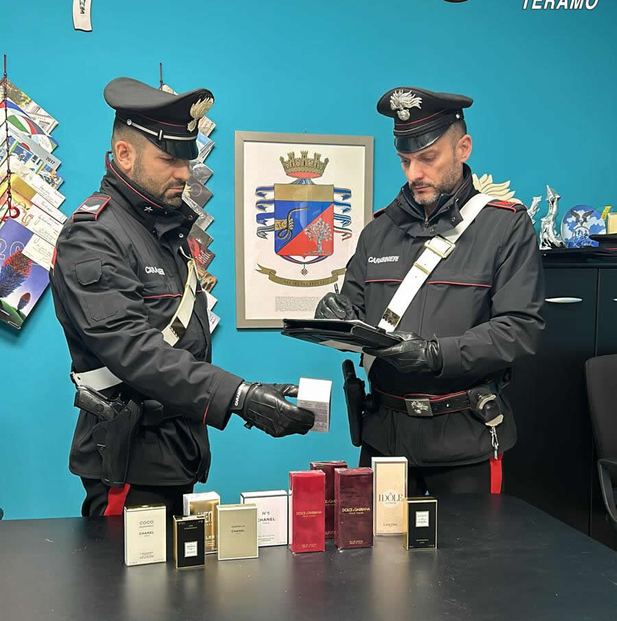 FURTO IN UN NEGOZIO E RESISTENZA: STRANIERO ARRESTATO DAI CARABINIERI A SILVI
