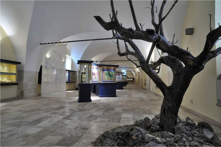 MUSEI: SULMONA HA INCASSATO SOLO 15 MILA EURO IN UN ANNO MA ORA IL COMUNE VUOLE INVERTIRE LA ROTTA