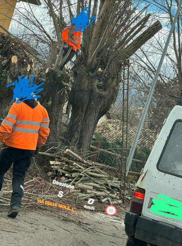 L’AQUILA: “OPERAI TAGLIANO ALBERI IN BARBA A NORME SICUREZZA”, LA SEGNALAZIONEDI FESICA-CONFSAL