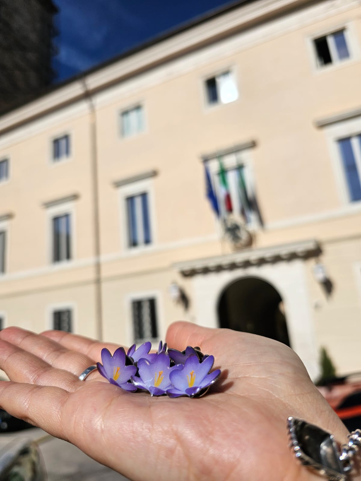 ANNIVERSARIO SISMA L’AQUILA: IN DISTRIBUZIONE IL “FIORE DELLA MEMORIA” IN SCUOLE E TABACCHERIE