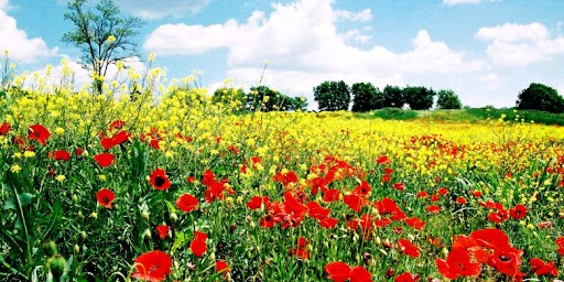 PASQUA E PONTI DI PRIMAVERA:<BR> AD APRILE 20 MILIONI DI ITALIANI IN VIAGGIO