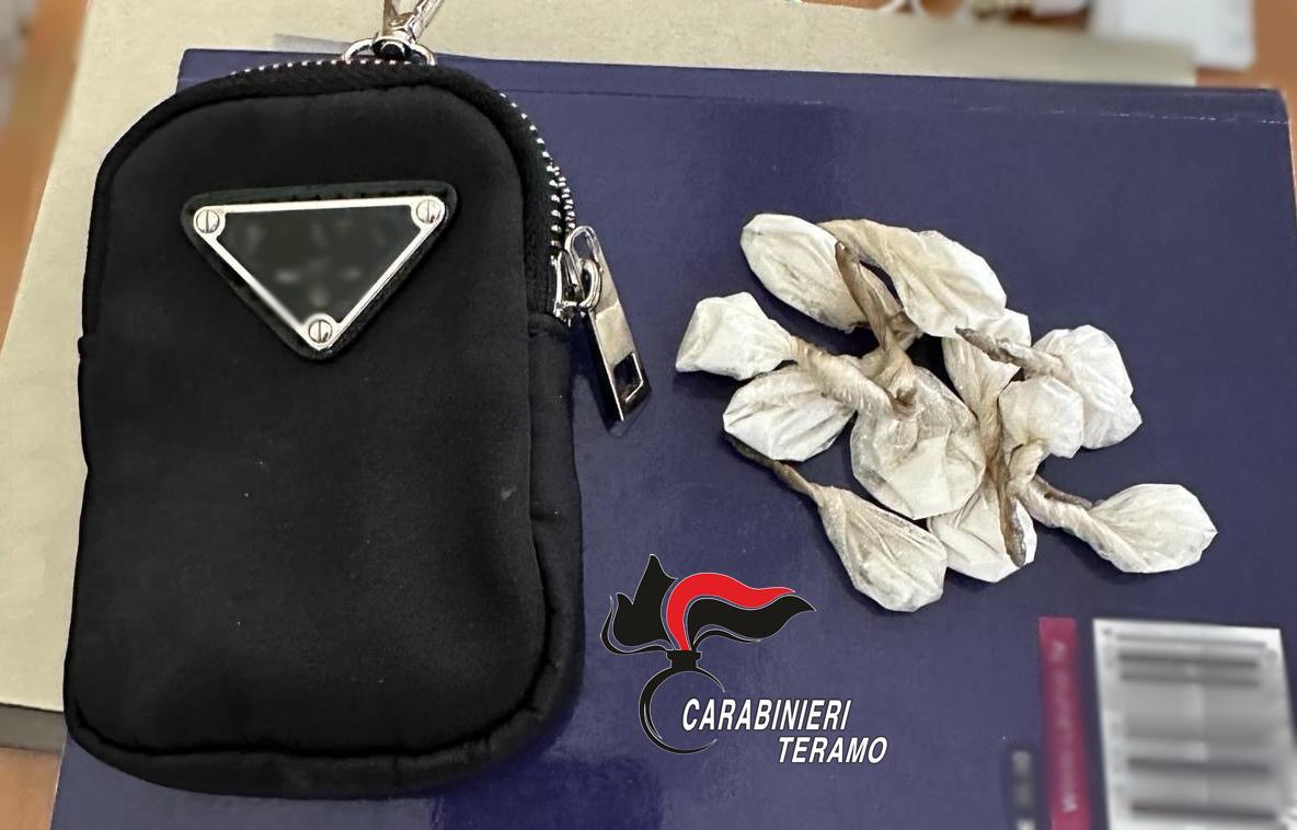 TROVATO UN BORSELLO CON LA COCAINA NELL’OASI NATURALE DEI CALANCHI DAI CARABINIERI DI ATRI