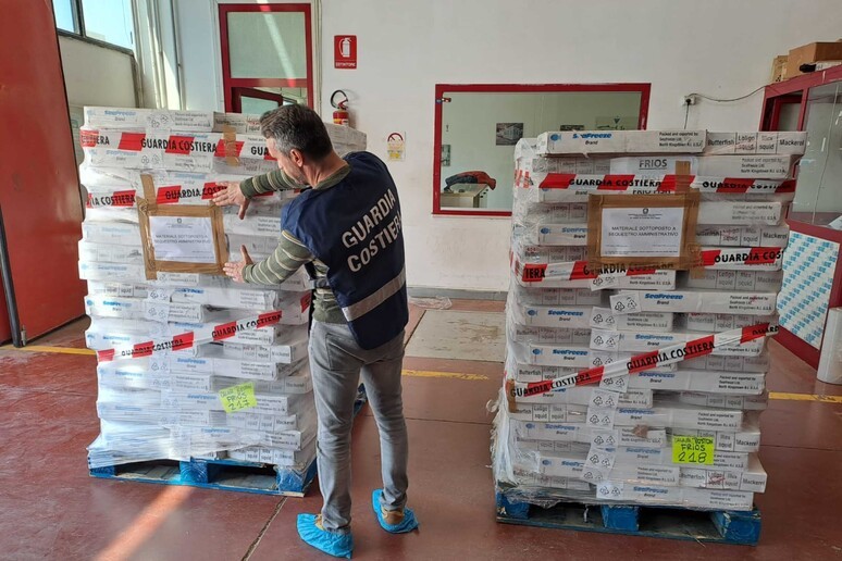 SEQUESTRATE 2,6 TONNELLATE DI CALAMARI CONGELATI SENZA ETICHETTA IN UN DEPOSITO NEL TERAMANO
