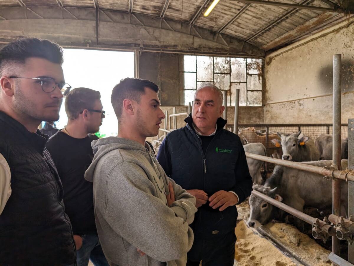AVEZZANO: GLI STUDENTI DELL’AGRARIO VISITANO LA FATTORIA DI CARLO A MASSA D’ALBE