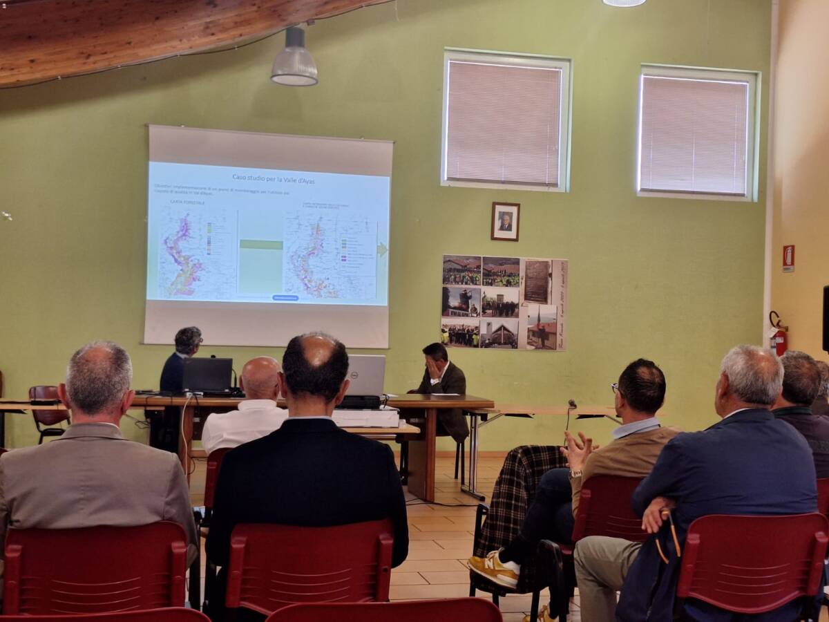 VALORIZZAZIONE DEL LEGNO: INCONTRO USRC E GESTA, “POTENZIALE NOTEVOLE BIOMASSA RINNOVABILE”