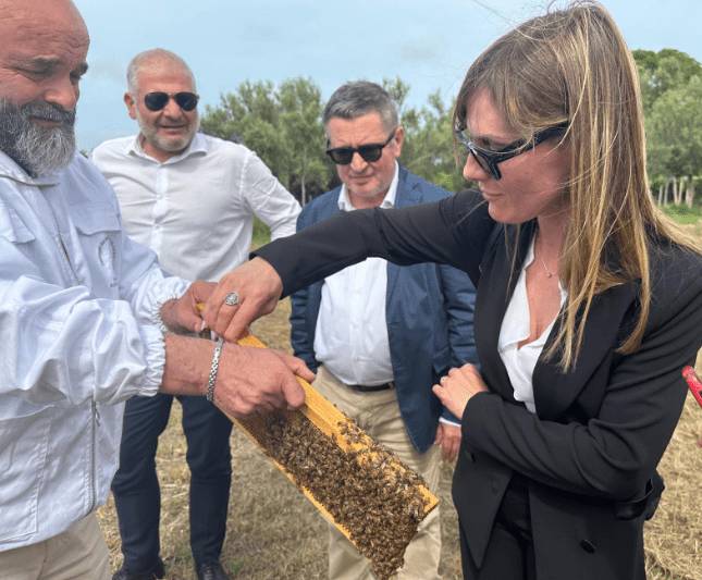 EUROPEE: CUCCHIARELLA, “STOP A INVASIONE FINTO MIELE DI PROVENIENZA EXTRA UE DI SCARSA QUALITA'”