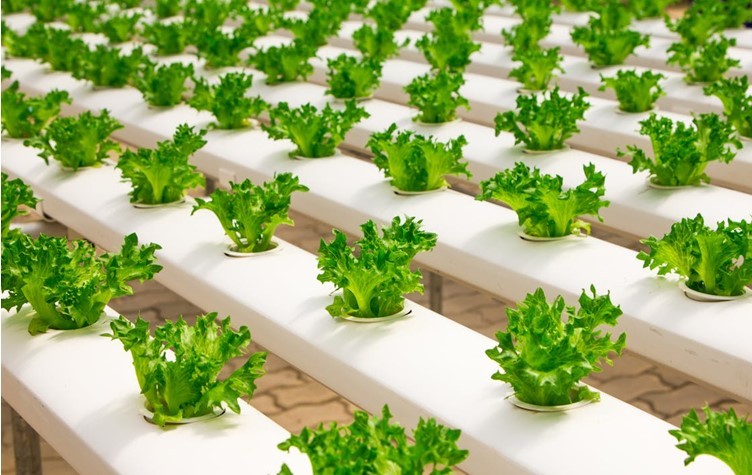 L’INCIDENZA DELLA TECNOLOGIA SUL CONTROLLO QUALITÀ DELL’INDUSTRIA ALIMENTARE