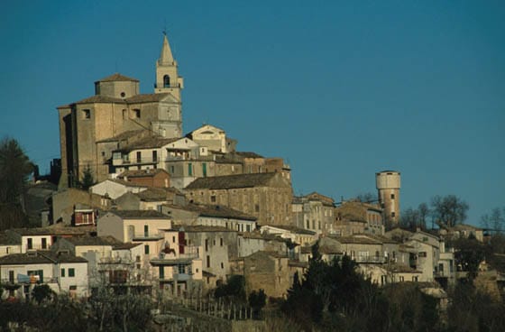 CERMIGNANO: GUERRA LEGALE SUL VOTO DELL’ANNO SCORSO. A RISCHIO IL SINDACO DANILO DEL CANE