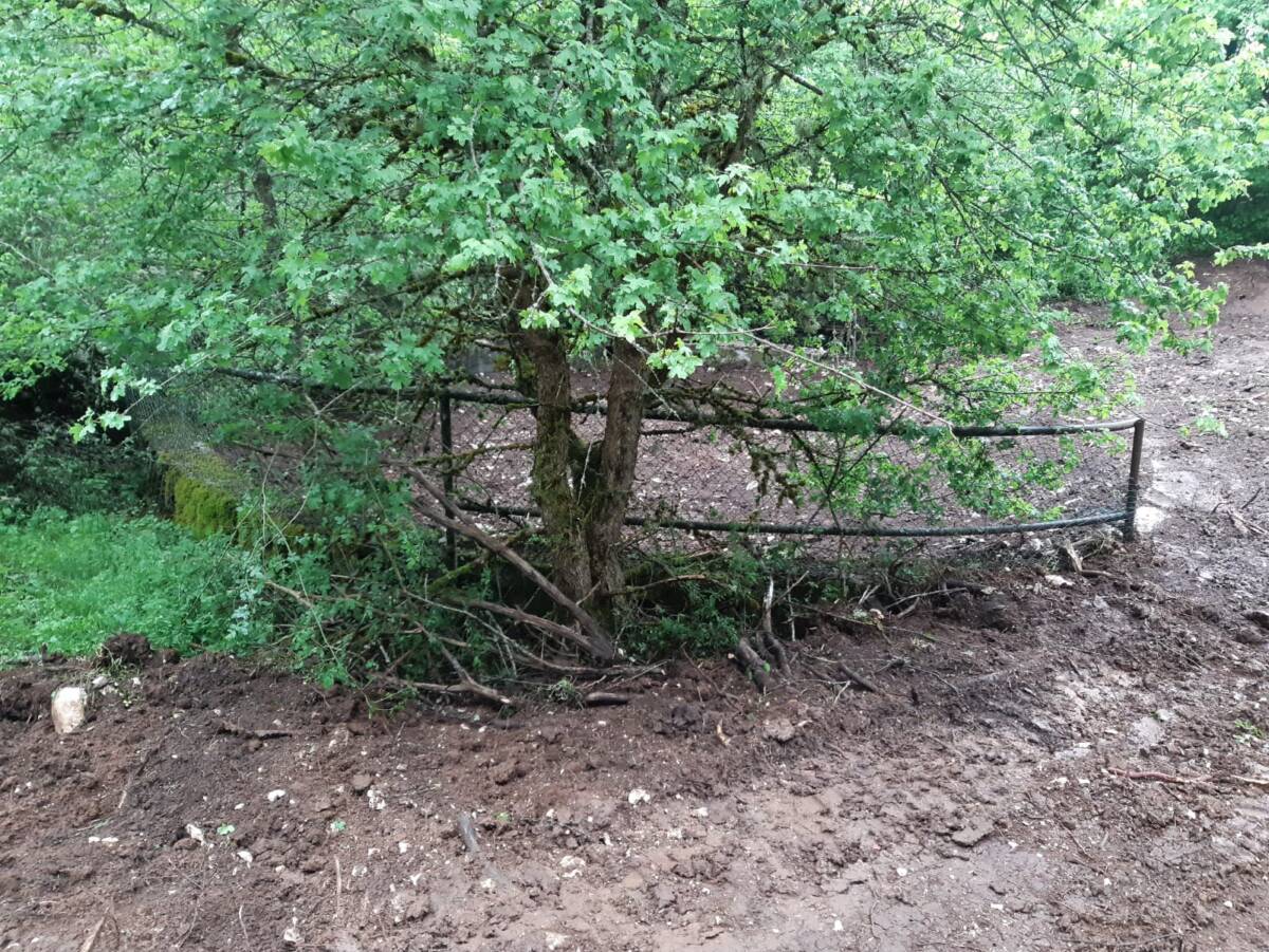 POZZO RIEMPITO NEL PARCO SIRENTE: ROSSI, “PROGETTI LIFE CANCELLANO LA STORIA CON SCUSA DELL’ORSO”