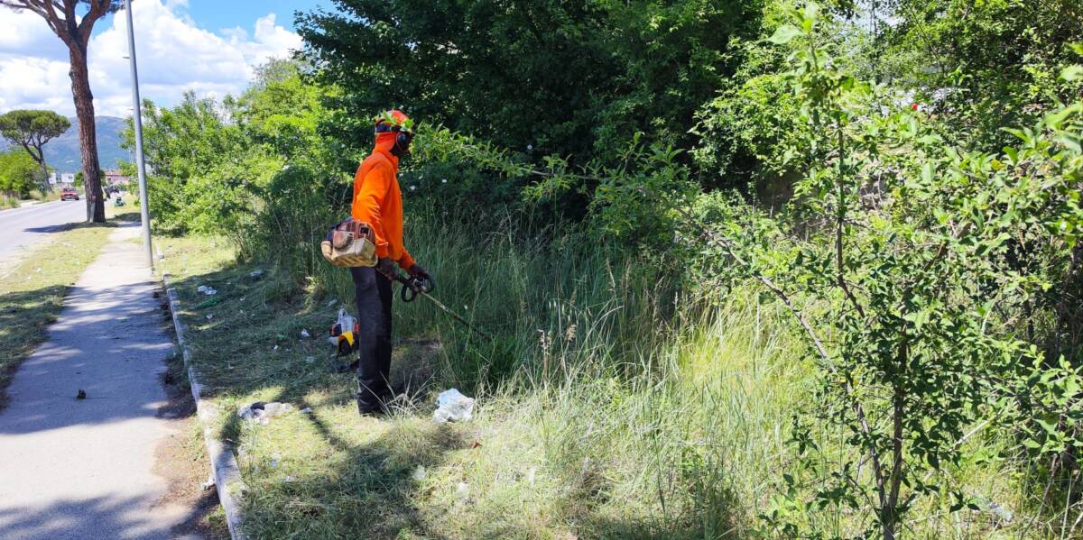 L’AQUILA: AVVIATO LO SFALCIO DELL’ERBA CHE IN ALCUNI PUNTI HA SUPERATO I 3 METRI DI ALTEZZA