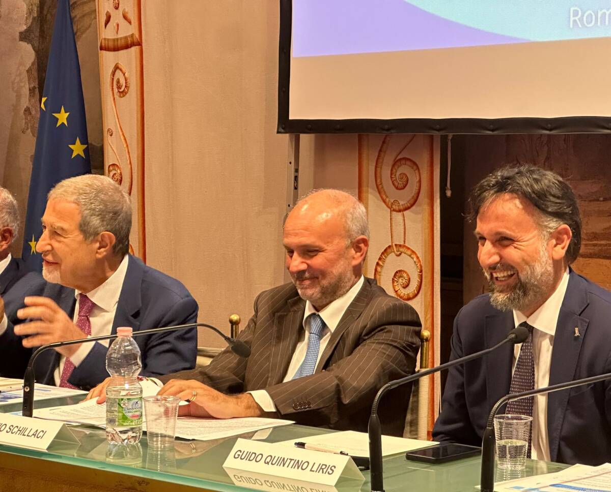 SANITA’ AREE INTERNE: INTERGRUPPO PARLAMENTARE, SENATORE LIRIS PRESIDENTE-COORDINATORE