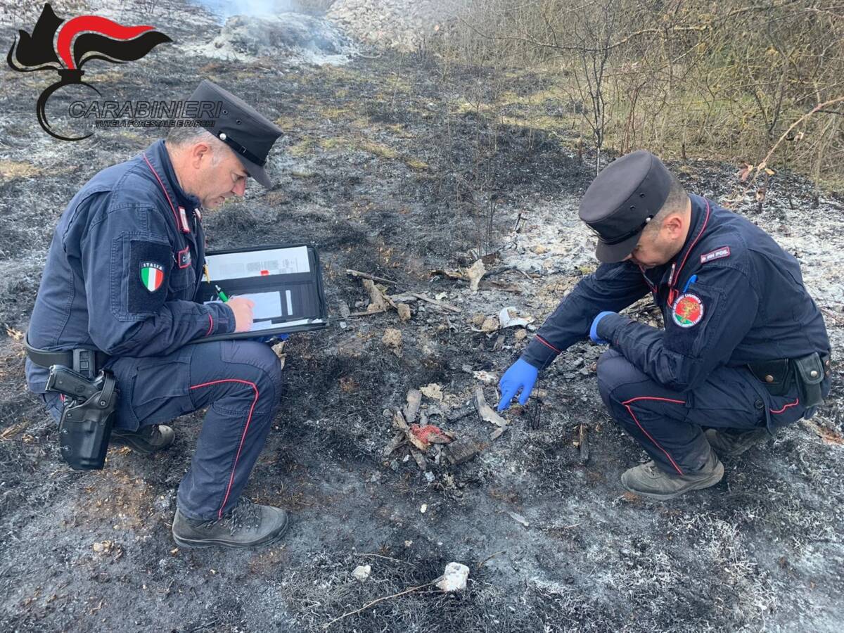 PREVENZIONE INCENDI BOSCHIVI IN ABRUZZO E MOLISE: AL VIA I SERVIZI DEI CARABINIERI FORESTALI