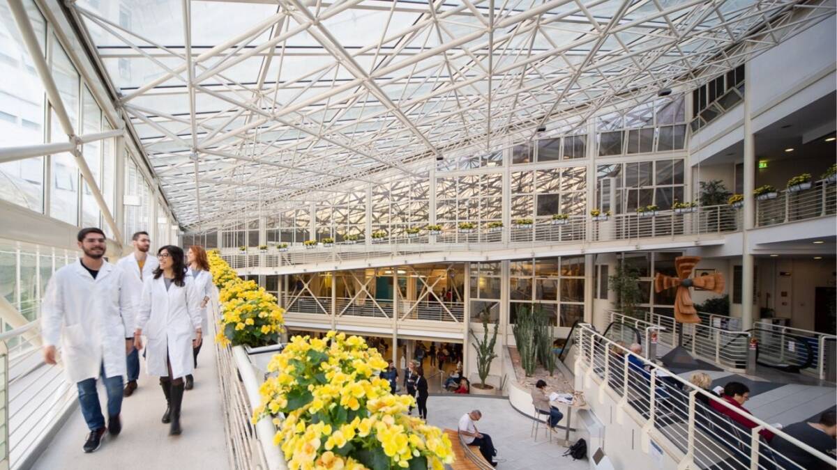 ESODO ABRUZZESI CHE VANNO A CURARSI ALTROVE, METE AL TOP NELLE MARCHE, LAZIO ED EMILIA ROMAGNA