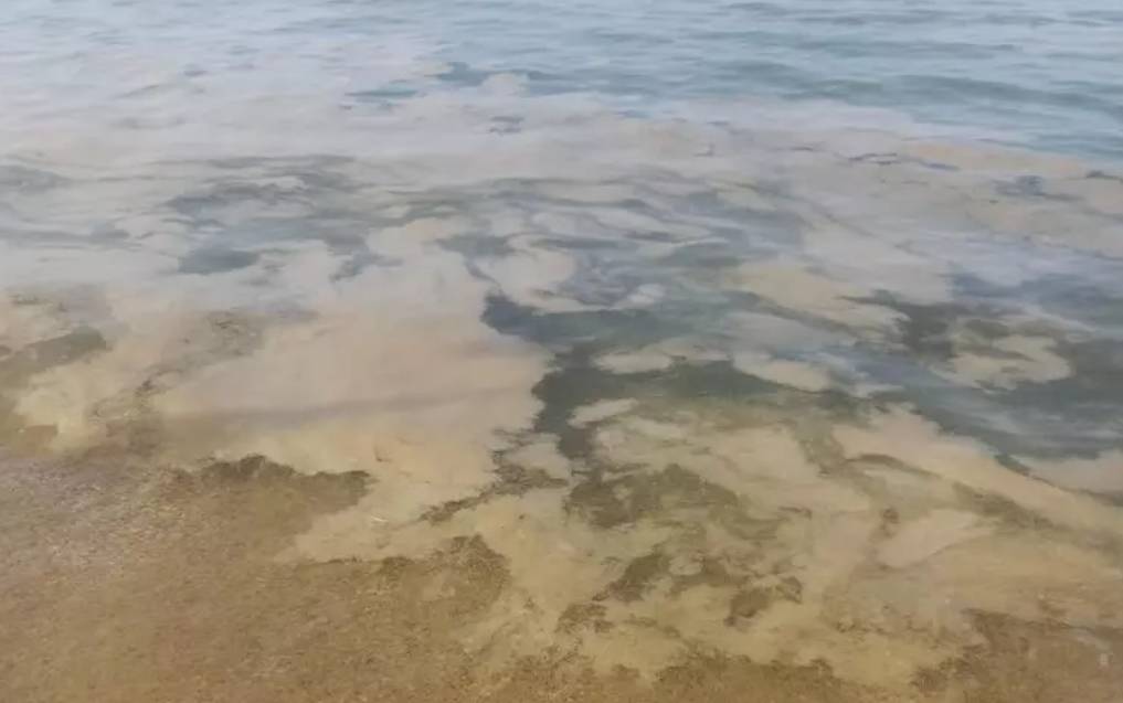 MUCILLAGINE: ANCI ABRUZZO CHIEDE INCONTRO A MARSILIO