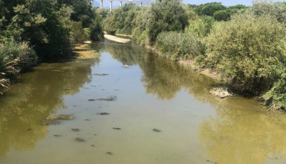 FIUME SALINELLO: ALLARME PER “PESCI MORTI E ODORE NAUSEABONDO”, DOMANI SOPRALLUOGO MARIANI